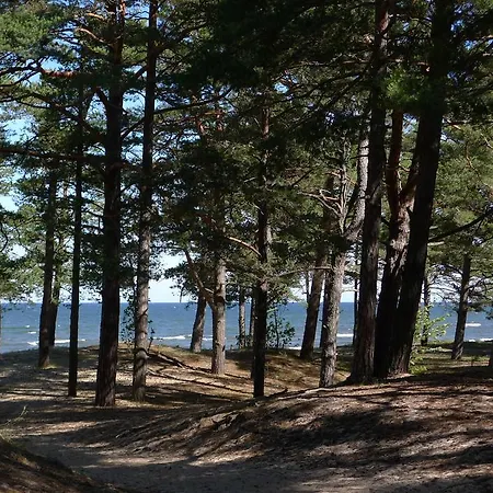 Türisalu Puhkebaas Gasthof Turisalu