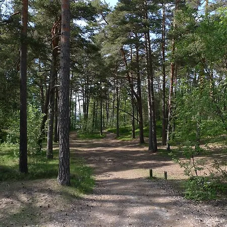 Puhkebaas Türisalu